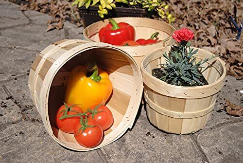 One Quart Tub  Pack 20 /case