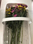 White Large display basket 24.75"X W 13.5"x3.5" Deep.